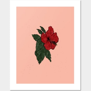 Floral drawing V: red hibiscus Posters and Art